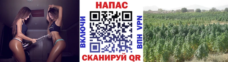 Марихуана Малоярославец