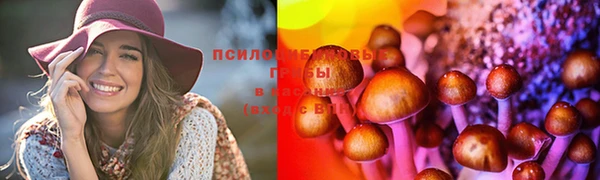 молекула духа Магадан