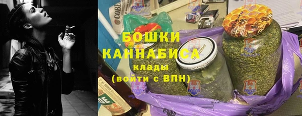 молекула духа Магадан