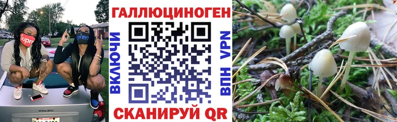 хочу   Малоярославец  Псилоцибиновые грибы ЛСД 