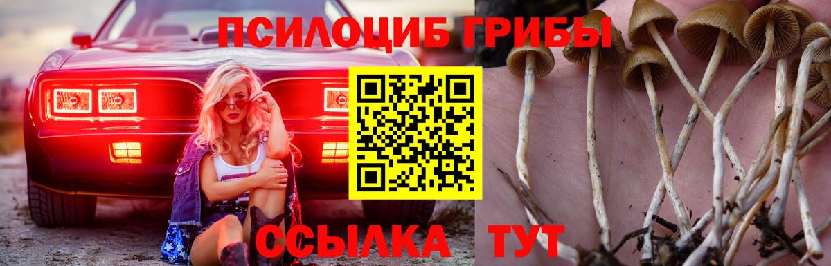 купить закладку  Вход с VPN  Малоярославец  Псилоцибиновые грибы прущие грибы 